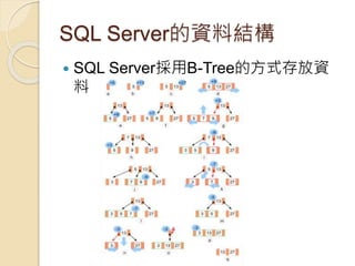 SQL Server的資料結構
 SQL Server採用B-Tree的方式存放資
料
 