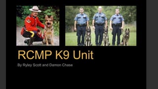 RCMP K9 Unit
By Ryley Scott and Damon Chase
 