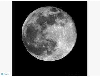 Rcm securing the future 2013