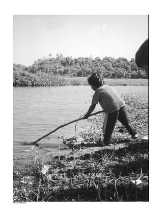 176
Priscila Monteiro
 