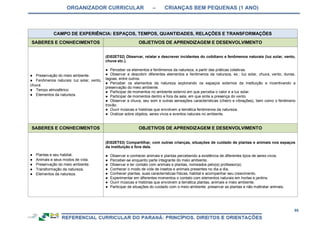 ORGANIZADOR CURRICULAR – CRIANÇAS BEM PEQUENAS (1 ANO)
95
CAMPO DE EXPERIÊNCIA: ESPAÇOS, TEMPOS, QUANTIDADES, RELAÇÕES E TRANSFORMAÇÕES
SABERES E CONHECIMENTOS OBJETIVOS DE APRENDIZAGEM E DESENVOLVIMENTO
● Preservação do meio ambiente.
● Fenômenos naturais: luz solar, vento,
chuva.
● Tempo atmosférico
● Elementos da natureza.
(EI02ET02) Observar, relatar e descrever incidentes do cotidiano e fenômenos naturais (luz solar, vento,
chuva etc.).
● Perceber os elementos e fenômenos da natureza, a partir das práticas coletivas.
● Observar e descobrir diferentes elementos e fenômenos da natureza, ex.: luz solar, chuva, vento, dunas,
lagoas, entre outros.
● Perceber os elementos da natureza explorando os espaços externos da instituição e incentivando a
preservação do meio ambiente.
● Participar de momentos no ambiente externo em que perceba o calor e a luz solar.
● Participar de momentos dentro e fora da sala, em que sinta a presença do vento.
● Observar a chuva, seu som e outras sensações características (cheiro e vibrações), bem como o fenômeno
trovão.
● Ouvir músicas e histórias que envolvem a temática fenômenos da natureza.
● Oralizar sobre objetos, seres vivos e eventos naturais no ambiente.
SABERES E CONHECIMENTOS OBJETIVOS DE APRENDIZAGEM E DESENVOLVIMENTO
● Plantas e seu habitat.
● Animais e seus modos de vida.
● Preservação do meio ambiente.
● Transformação da natureza.
● Elementos da natureza.
(EI02ET03) Compartilhar, com outras crianças, situações de cuidado de plantas e animais nos espaços
da instituição e fora dela.
● Observar e conhecer animais e plantas percebendo a existência de diferentes tipos de seres vivos.
● Perceber-se enquanto parte integrante do meio ambiente.
● Observar e ter contato com animais e plantas, nomeados pelo(a) professor(a).
● Conhecer o modo de vida de insetos e animais presentes no dia a dia.
● Conhecer plantas, suas características físicas, habitat e acompanhar seu crescimento.
● Experimentar em diferentes momentos o contato com elementos naturais em hortas e jardins.
● Ouvir músicas e histórias que envolvem a temática plantas, animais e meio ambiente.
● Participar de situações do cuidado com o meio ambiente: preservar as plantas e não maltratar animais.
 