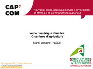 Nouveaux outils, nouveaux service : savoir piloter
sa stratégie de communication numérique

Veille numérique dans les
Chambres d'agriculture
Marie-Blandine Trayaud

 