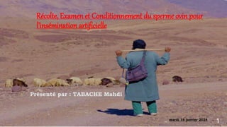 Récolte, Examen et Conditionnement du sperme ovin pour
l'insémination artificielle
Présenté par : TABACHE Mahdi
mardi 16 janvier 2024
1
 