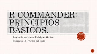 Realizado por Ismael Rodríguez Godino
Subgrupo 16 – Virgen del Rocío
 