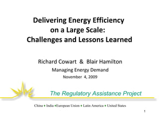 Delivering Energy Efficiency  on a Large Scale:  Challenges and Lessons Learned Richard Cowart  &  Blair Hamilton Managing Energy Demand November  4, 2009 
