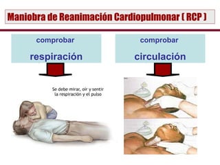 Maniobra de Reanimación Cardiopulmonar ( RCP )

      comprobar               comprobar

     respiración             circulación
 