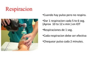 Respiracion
•Cuando hay pulso pero no respira.
•Dar 1 respiracion cada 5 to 6 seg.
(Aprox 10 to 12 x min ) en IOT
•Respiraciones de 1 seg.
•Cada respiracion debe ser efectiva
•Chequear pulso cada 2 minutes.

 