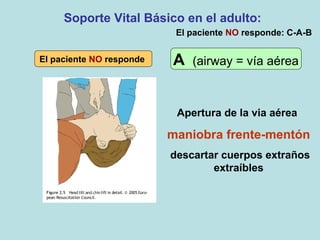 Apertura de la via aérea
maniobra frente-mentón
descartar cuerpos extraños
extraíbles
El paciente NO responde A (airway = vía aérea
Soporte Vital Básico en el adulto:
El paciente NO responde: C-A-B
 