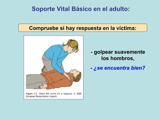 - golpear suavemente
los hombros,
- ¿se encuentra bien?
Soporte Vital Básico en el adulto:
Compruebe si hay respuesta en la víctima:
 