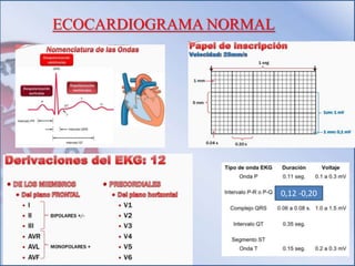 ECOCARDIOGRAMA NORMAL
0,12 -0,20
 