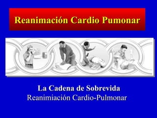 La Cadena de Sobrevida  Reanimiación Cardio-Pulmonar  Reanimación Cardio Pumonar 