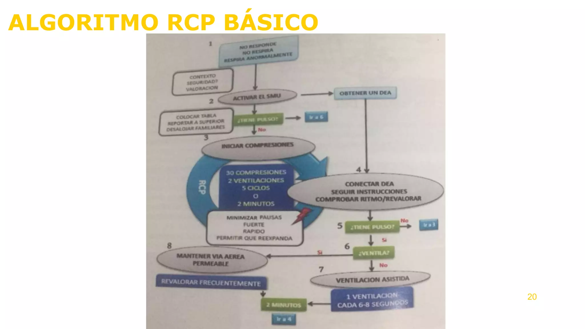 ALGORITMO RCP BÁSICO
20
 