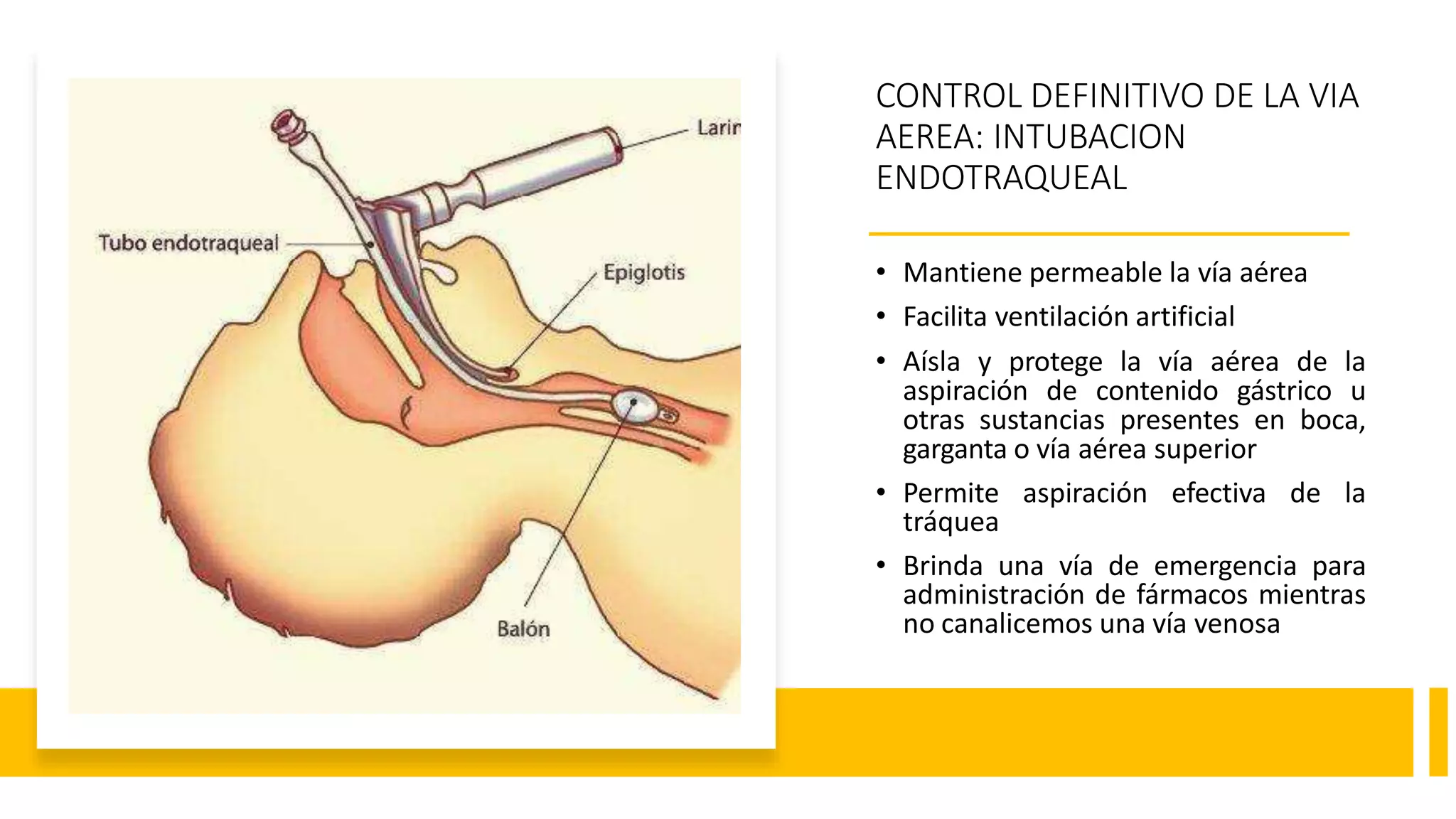 CONTROL DEFINITIVO DE LA VIA
AEREA: INTUBACION
ENDOTRAQUEAL
• Mantiene permeable la vía aérea
• Facilita ventilación artificial
• Aísla y protege la vía aérea de la
aspiración de contenido gástrico u
otras sustancias presentes en boca,
garganta o vía aérea superior
• Permite aspiración efectiva de la
tráquea
• Brinda una vía de emergencia para
administración de fármacos mientras
no canalicemos una vía venosa
 