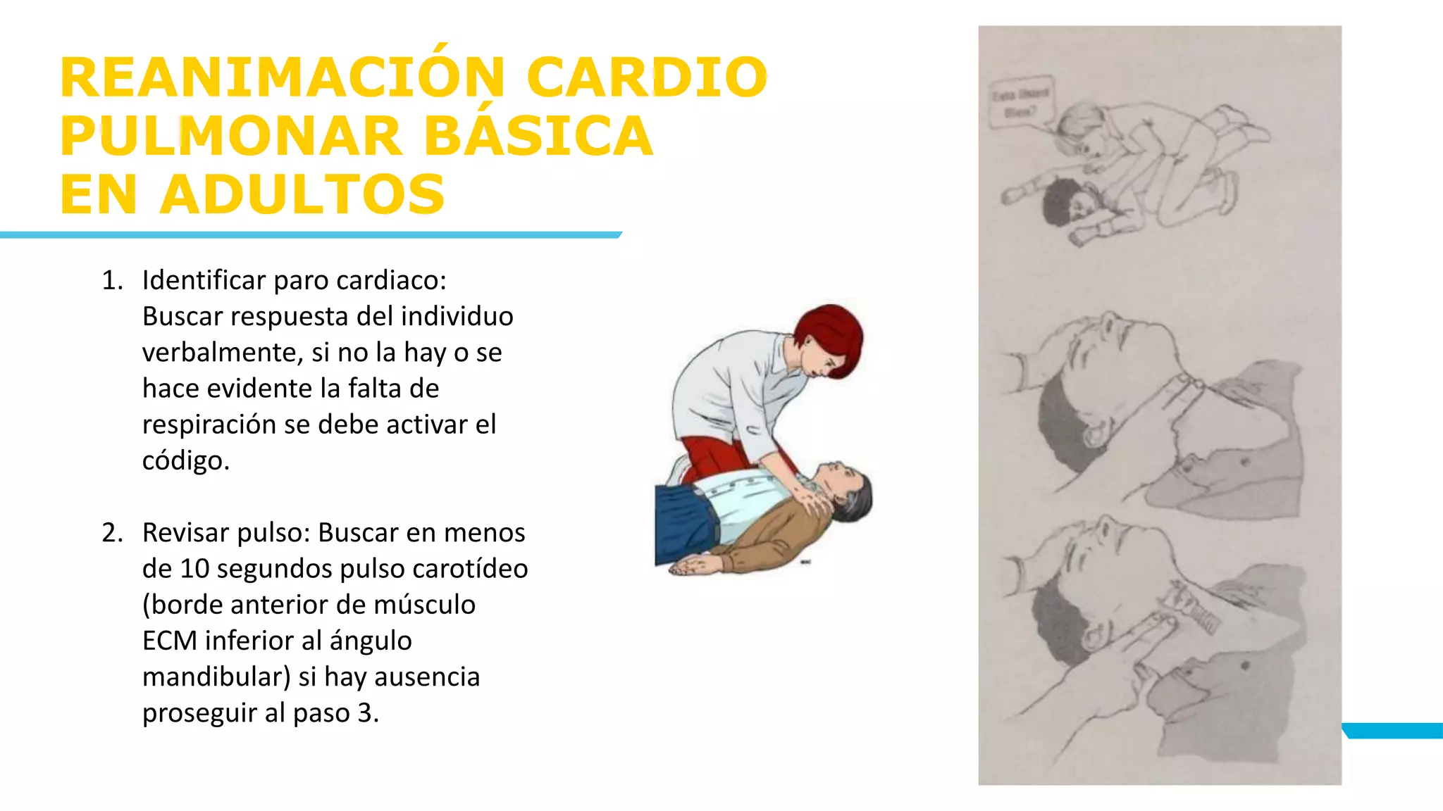 REANIMACIÓN CARDIO
PULMONAR BÁSICA
EN ADULTOS
11
1. Identificar paro cardiaco:
Buscar respuesta del individuo
verbalmente, si no la hay o se
hace evidente la falta de
respiración se debe activar el
código.
2. Revisar pulso: Buscar en menos
de 10 segundos pulso carotídeo
(borde anterior de músculo
ECM inferior al ángulo
mandibular) si hay ausencia
proseguir al paso 3.
 