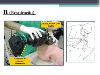 B
B (Respiração):
 