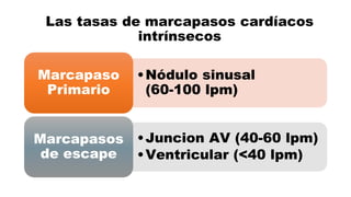 Las tasas de marcapasos cardíacos
intrínsecos
•Nódulo sinusal
(60-100 lpm)
Marcapaso
Primario
•Juncion AV (40-60 lpm)
•Ventricular (<40 lpm)
Marcapasos
de escape
 