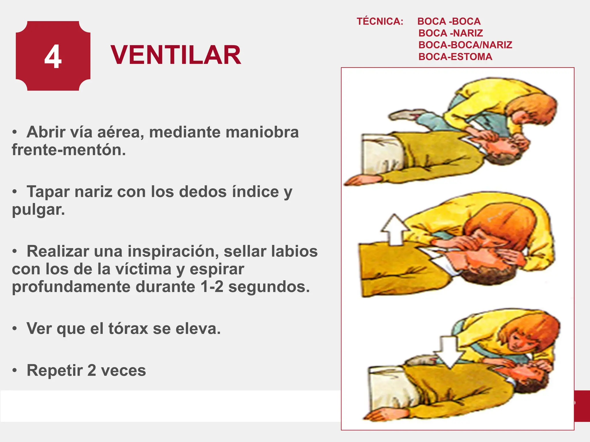 RCP.pdf.........................................