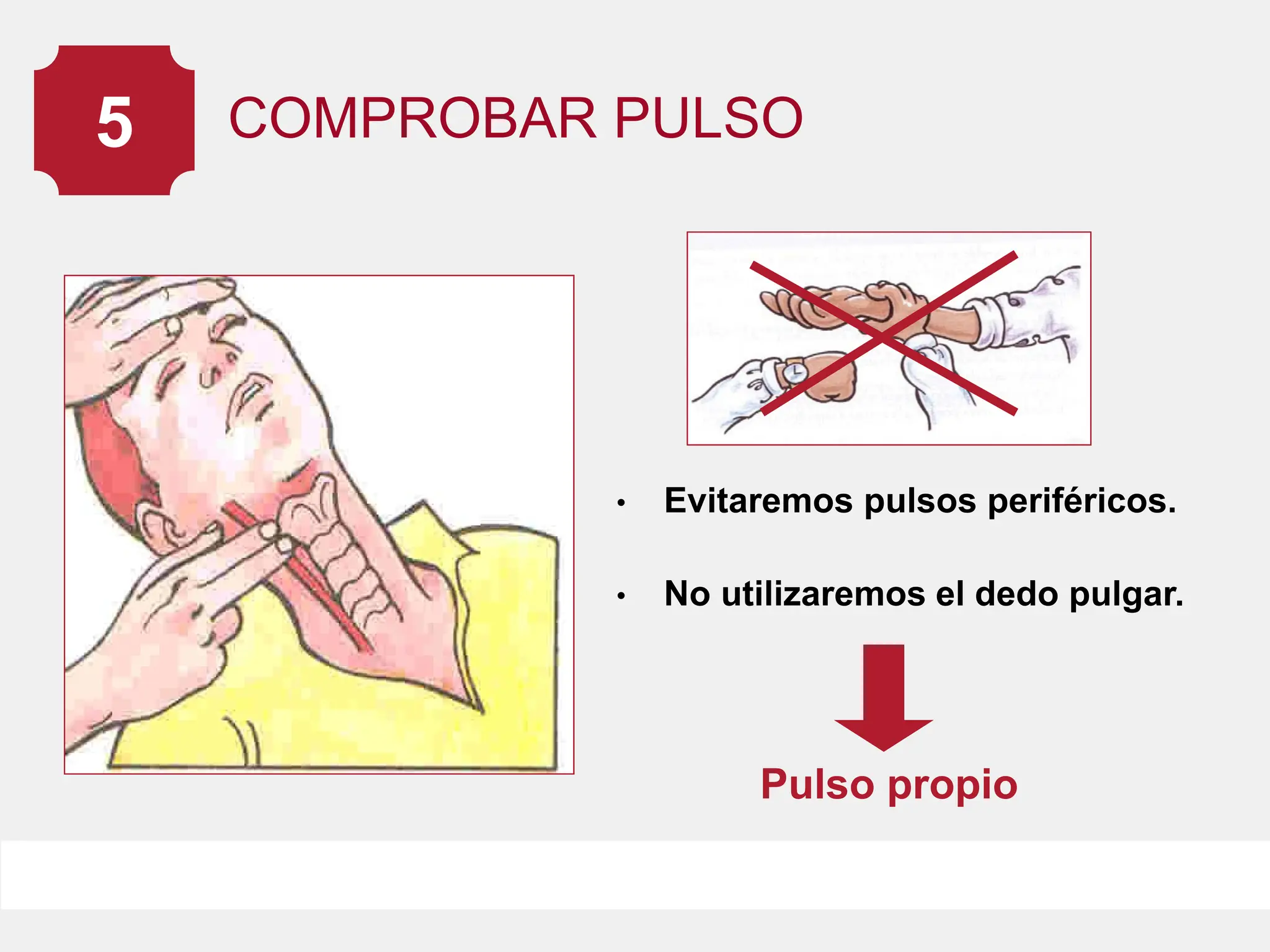 RCP.pdf.........................................