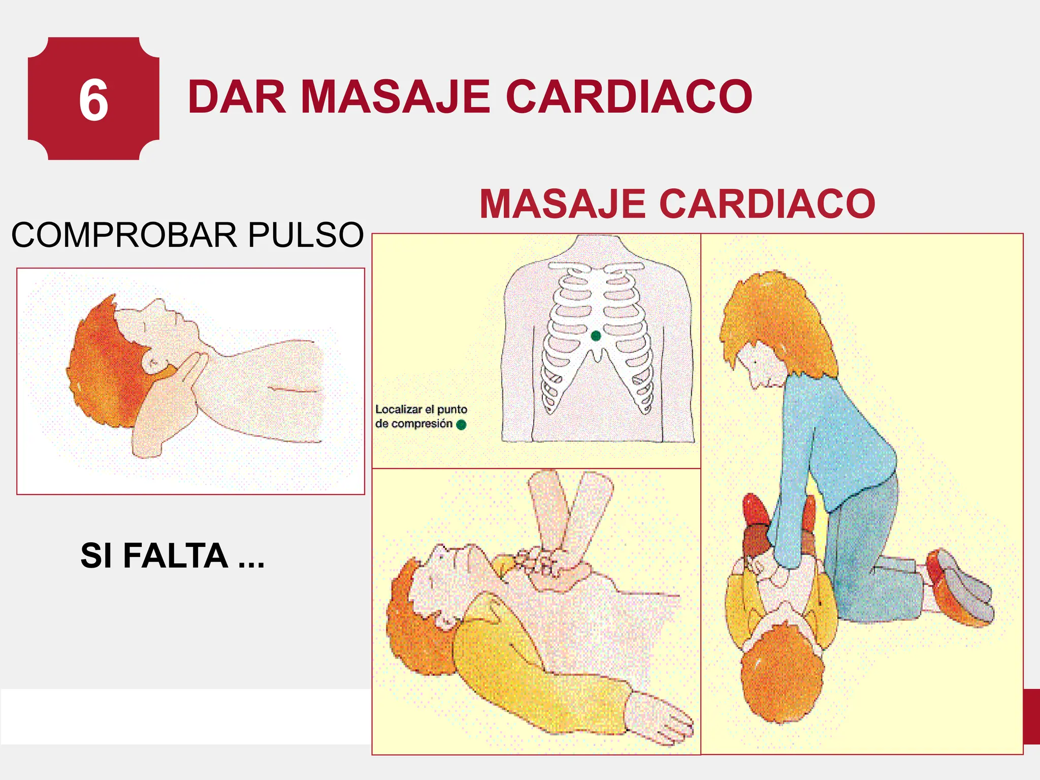 RCP.pdf.........................................