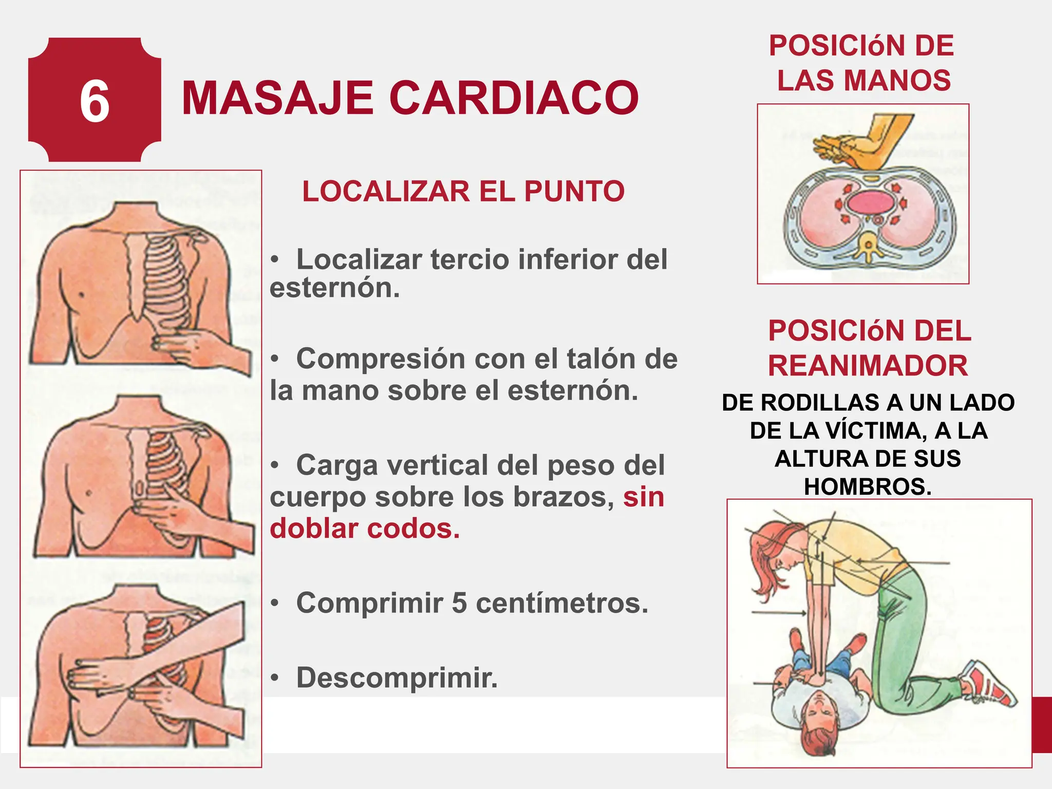 RCP.pdf.........................................