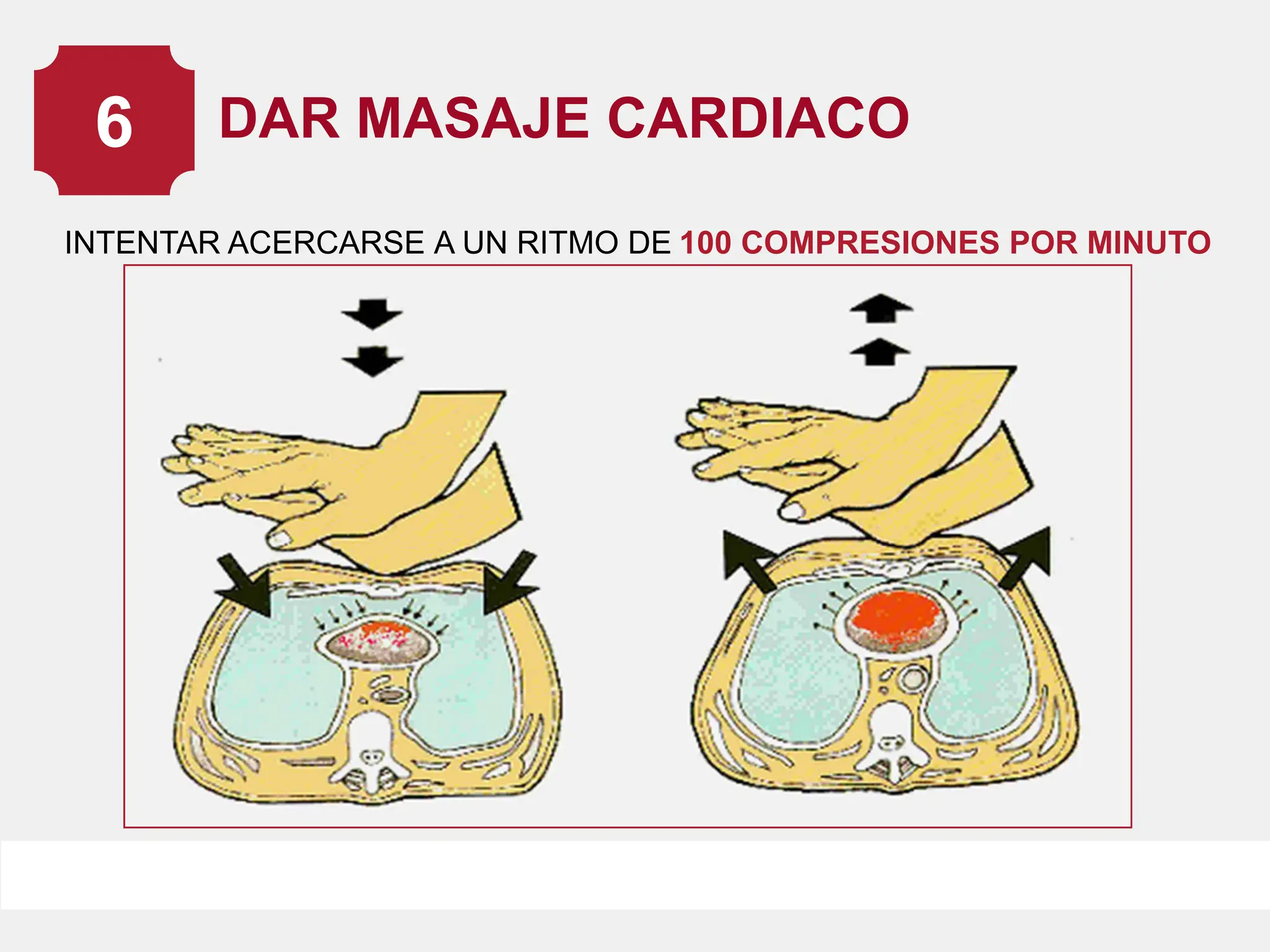 RCP.pdf.........................................