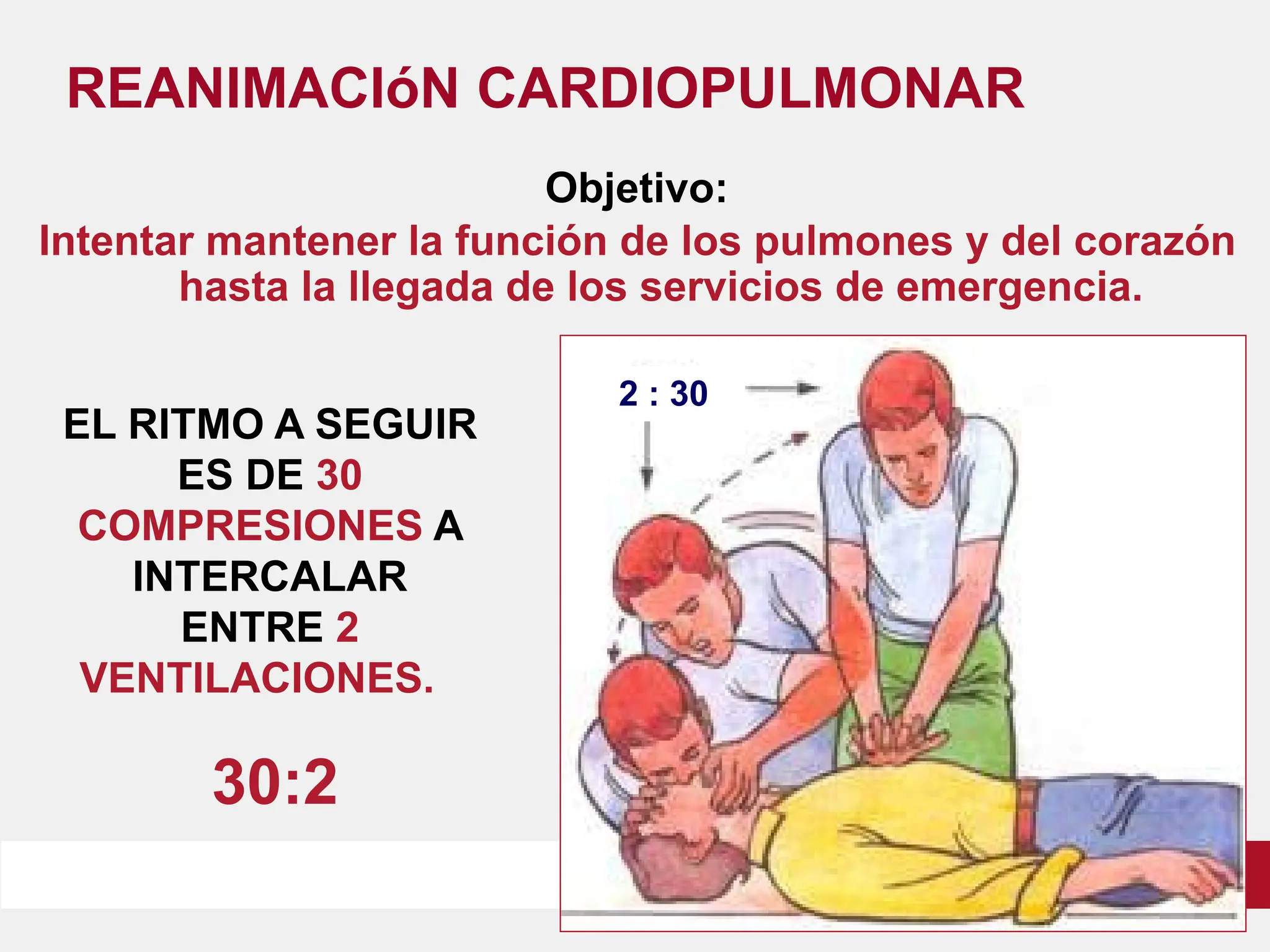 RCP.pdf.........................................