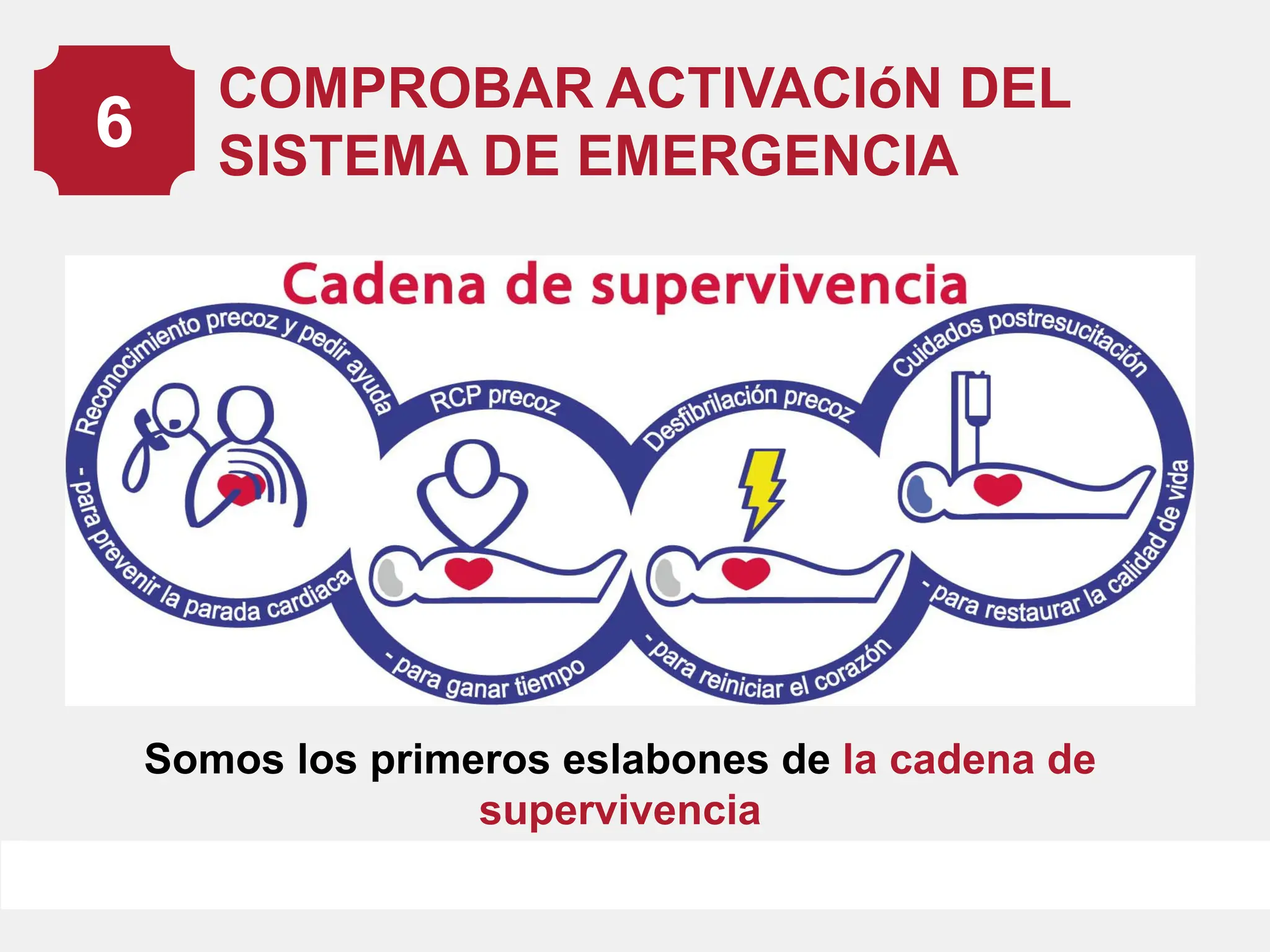 RCP.pdf.........................................