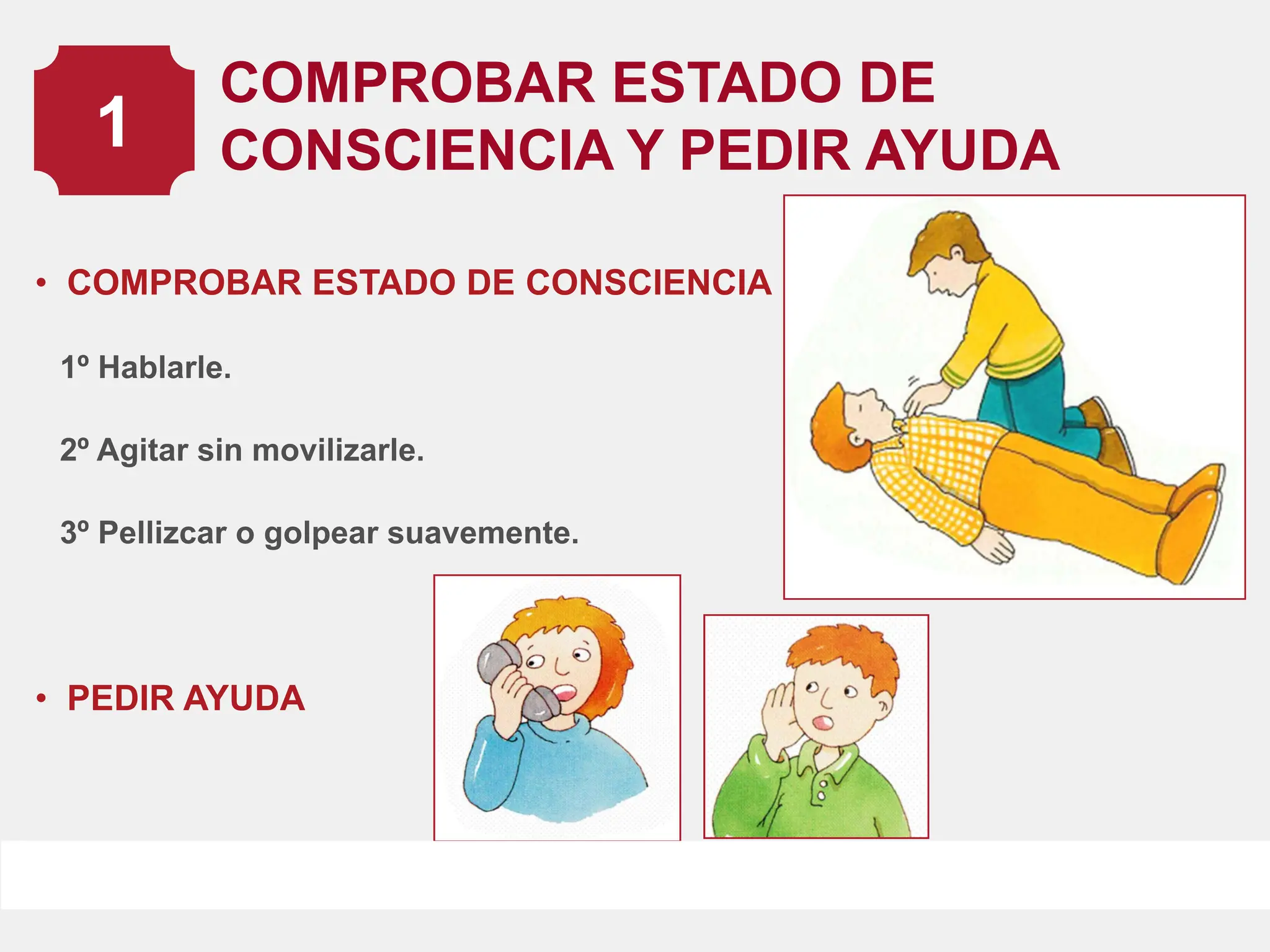 RCP.pdf.........................................