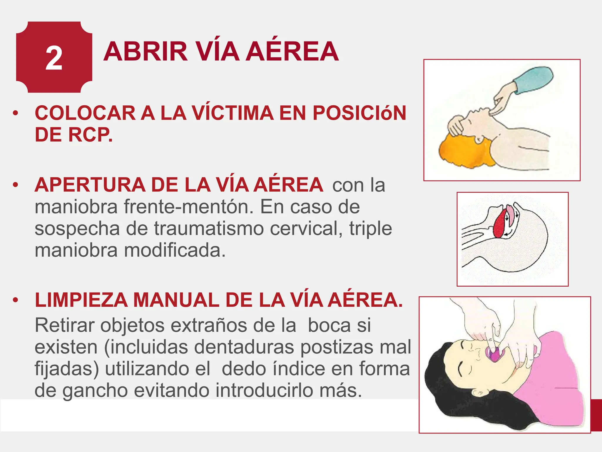 RCP.pdf.........................................