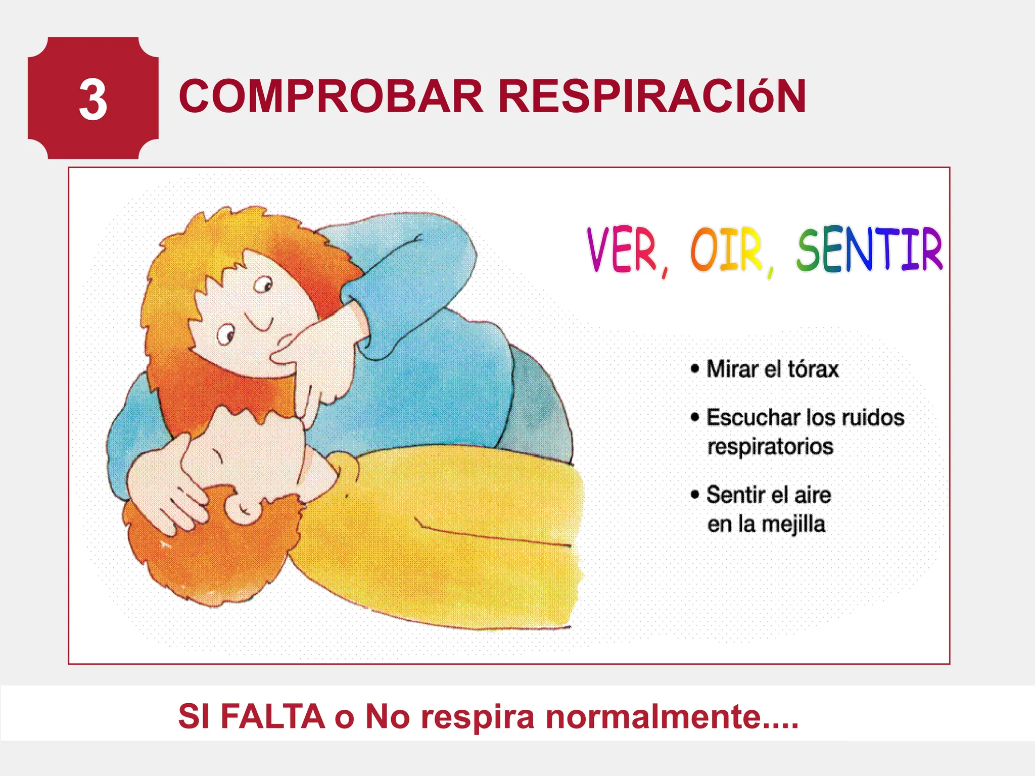 RCP.pdf.........................................