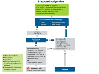 RCP-BASICA-Y-AVANZADA-CURSO-2021-22.pptx
