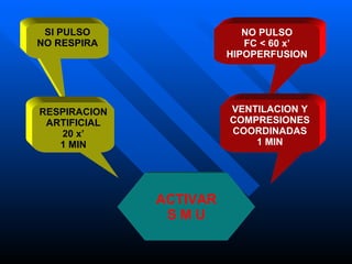 SI PULSO NO RESPIRA RESPIRACION ARTIFICIAL 20 x’ 1 MIN NO PULSO FC < 60 x’ HIPOPERFUSION VENTILACION Y COMPRESIONES COORDINADAS 1 MIN ACTIVAR S M U   