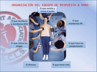 ORGANIZACIÓN DEL EQUIPO DE RESPUESTA A PARO 
El que Desfibrila 
y monitoriza ECG 
El que coloca las 
drogas 
El que 
monitoriza PA 
El que hace las 
compresiones 
El que ventila y 
revisa el pulso 
El director El que toma nota 
 