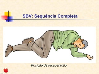 SBV: Sequência Completa

Posição de recuperação

 