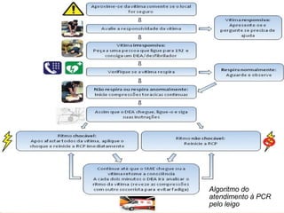 Algoritmo do
atendimento à PCR
pelo leigo

 