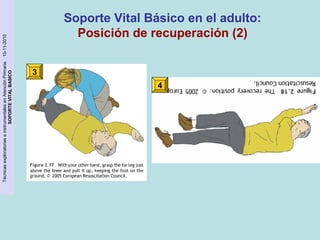 Técnicas exploratorias e instrumentales en Atención Primaria. 15-11-2010 
SOPORTE VITAL BASICO 
3 
Soporte Vital Básico en el adulto: 
Posición de recuperación (2) 
4 
 