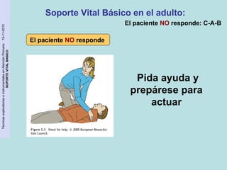 Técnicas exploratorias e instrumentales en Atención Primaria. 15-11-2010 
SOPORTE VITAL BASICO 
Soporte Vital Básico en el adulto: 
Pida ayuda y 
prepárese para 
actuar 
El paciente NO responde 
El paciente NO responde: C-A-B 
 