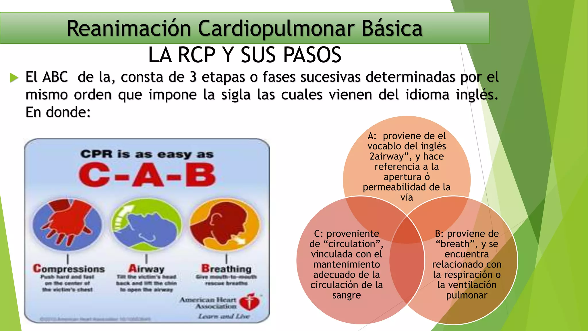 Reanimación Cardiopulmonar Básica
LA RCP Y SUS PASOS
 El ABC de la, consta de 3 etapas o fases sucesivas determinadas por el
mismo orden que impone la sigla las cuales vienen del idioma inglés.
En donde:
A: proviene de el
vocablo del inglés
2airway”, y hace
referencia a la
apertura ó
permeabilidad de la
vía
B: proviene de
“breath”, y se
encuentra
relacionado con
la respiración o
la ventilación
pulmonar
C: proveniente
de “circulation”,
vinculada con el
mantenimiento
adecuado de la
circulación de la
sangre
 