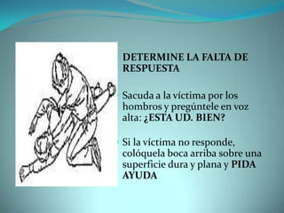 DETERMINE LA FALTA DE RESPUESTASacuda a la víctima por los hombros y pregúntele en voz alta: ¿ESTA UD. BIEN?Si la víctima no responde, colóquela boca arriba sobre una superficie dura y plana y PIDA AYUDA