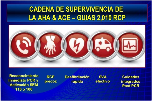 Rcp basica del adulto guias 2010