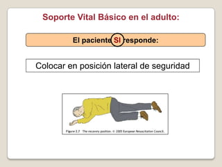 Soporte Vital Básico en el adulto:
El paciente SI responde:
Colocar en posición lateral de seguridad
 
