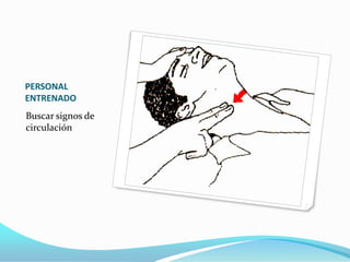 Posición Lateral de SeguridadSOLICITAR AYUDAVIGILAR  RESPIRACION REGULARMENTE