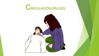 CIRCULACIÓN (PULSO)
 