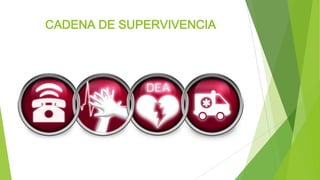 CADENA DE SUPERVIVENCIA
 