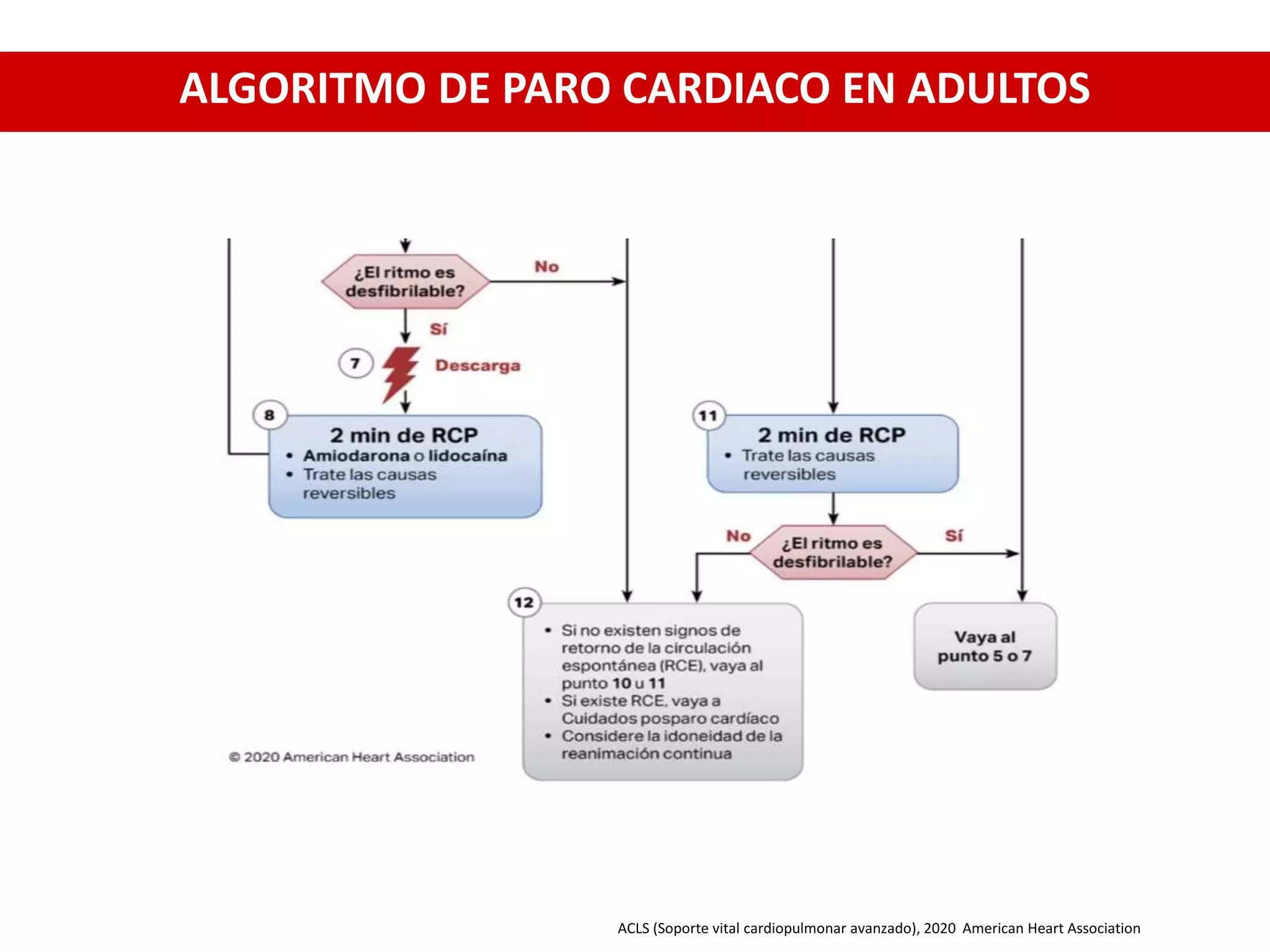 RCP BASICOY AVANZADO 2.0.pptx