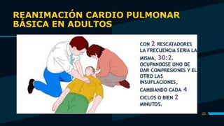 REANIMACIÓN CARDIO PULMONAR
BÁSICA EN ADULTOS
20
 
