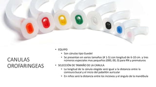 CANULAS
OROFARINGEAS
• EQUIPO
• Son cánulas tipo Guedel
• Se presentan en varios tamaños (# 1-5) con longitud de 6-10 cm. y tres
números especiales mas pequeños (000, 00, 0) para RN y prematuros
• SELECCIÓN DE TAMAÑO DE LA CANULA
• La longitud de la cánula elegida será igual a la distancia entre la
comisura bucal y el inicio del pabellón auricular
• En niños será la distancia entre los incisivos y el ángulo de la mandíbula
 