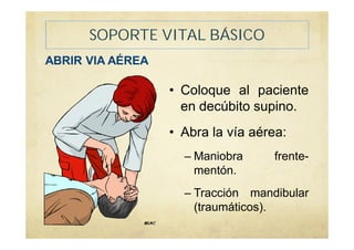 SOPORTE VITAL BÁSICO
• Coloque al paciente
en decúbito supino.
• Abra la vía aérea:
– Maniobra frente-
mentón.
– Tracción mandibular
(traumáticos).
ABRIR VIA AÉREA
 