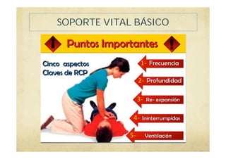 SOPORTE VITAL BÁSICO
 