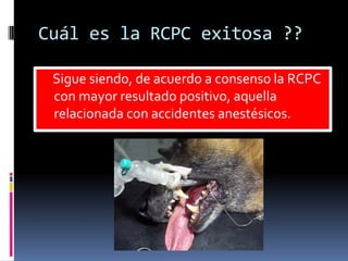 RCPC Lima.pdf